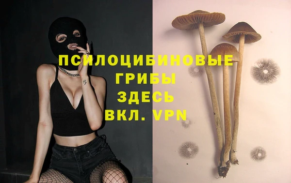 индика Киренск