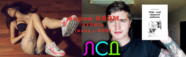 прущие грибы Коряжма