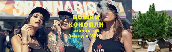 PSILOCYBIN Алексеевка