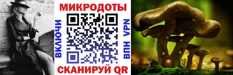 OMG ссылки  Островной  Псилоцибиновые грибы MAGIC MUSHROOMS 